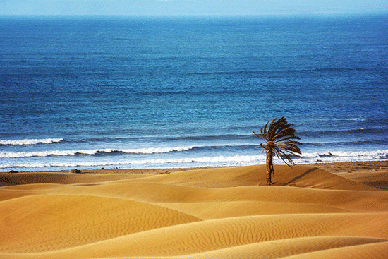 فرار از سرما: 7 مقصد رویایی و گرم ایران برای سفر در زمستان 1404